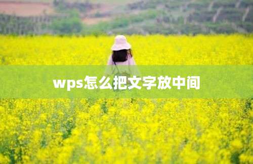 wps怎么把文字放中间