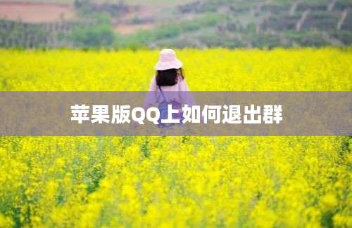 苹果版QQ上如何退出群