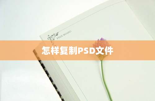 怎样复制PSD文件