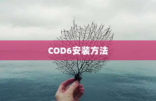 COD6安装方法