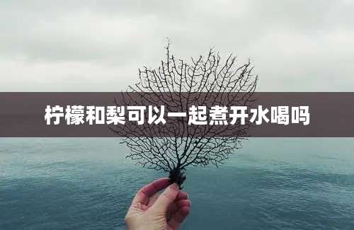 柠檬和梨可以一起煮开水喝吗