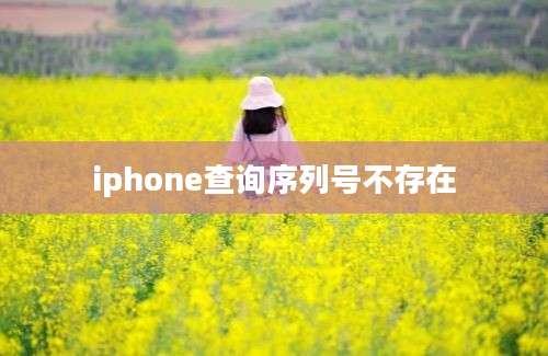 iphone查询序列号不存在