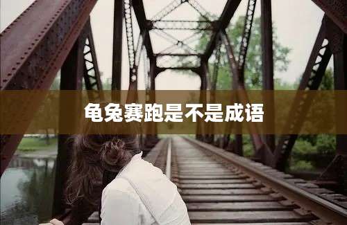 龟兔赛跑是不是成语