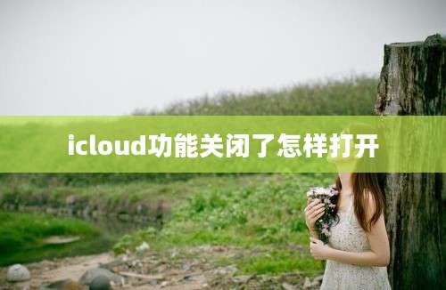 icloud功能关闭了怎样打开