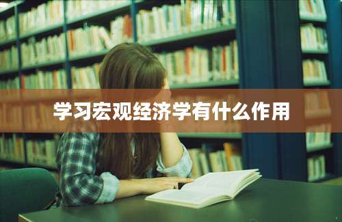 学习宏观经济学有什么作用