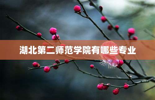 湖北第二师范学院有哪些专业