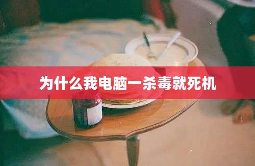 为什么我电脑一杀毒就死机