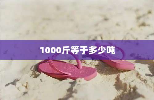 1000斤等于多少吨