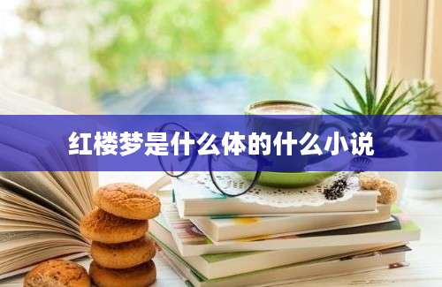 红楼梦是什么体的什么小说