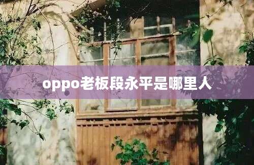 oppo老板段永平是哪里人