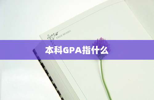 本科GPA指什么