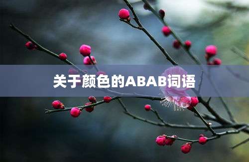 关于颜色的ABAB词语