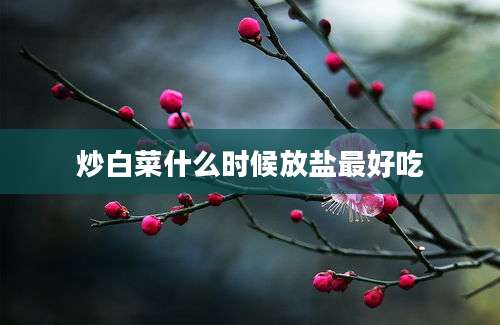 炒白菜什么时候放盐最好吃