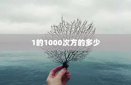 1的1000次方的多少