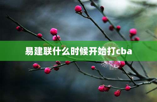 易建联什么时候开始打cba