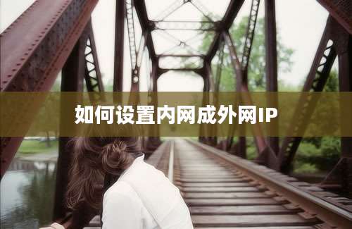 如何设置内网成外网IP