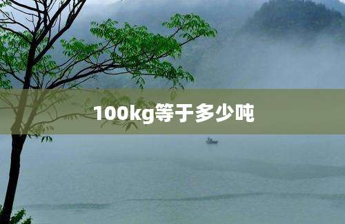 100kg等于多少吨