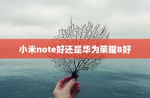 小米note好还是华为荣耀8好