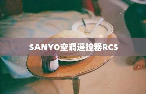 SANYO空调遥控器RCS