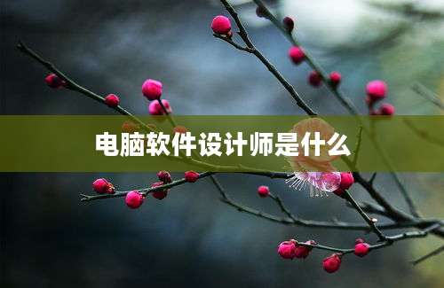 电脑软件设计师是什么