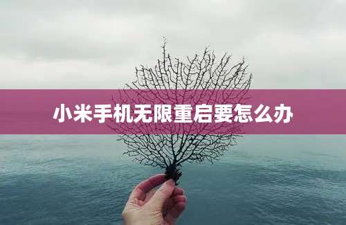 小米手机无限重启要怎么办