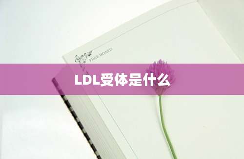 LDL受体是什么