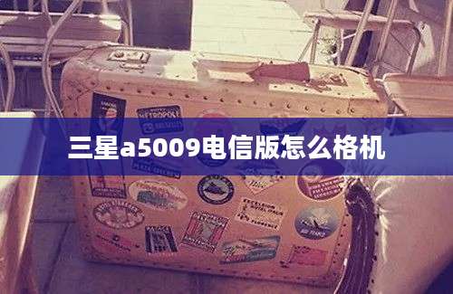 三星a5009电信版怎么格机