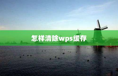 怎样清除wps缓存