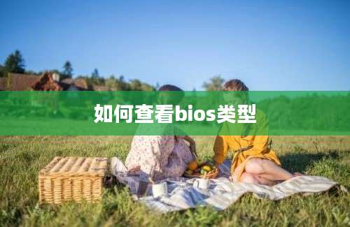 如何查看bios类型