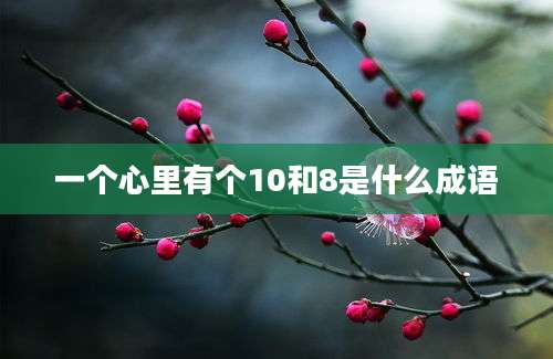 一个心里有个10和8是什么成语