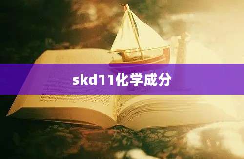 skd11化学成分