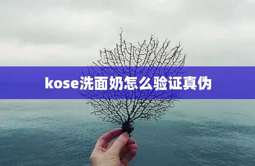 kose洗面奶怎么验证真伪