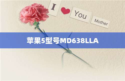 苹果5型号MD638LLA