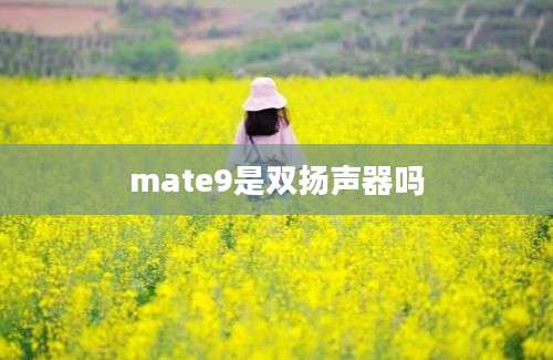 mate9是双扬声器吗