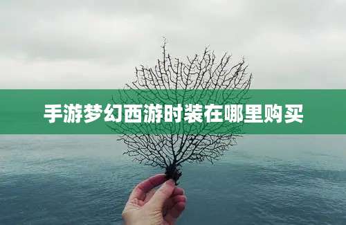 手游梦幻西游时装在哪里购买