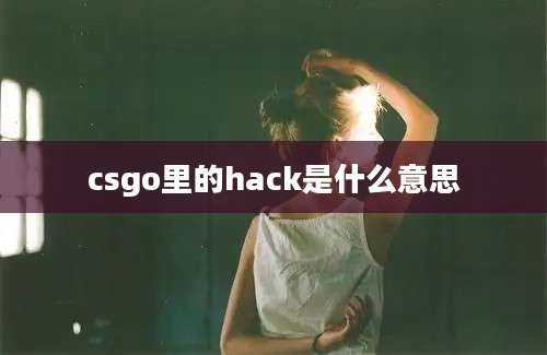 csgo里的hack是什么意思