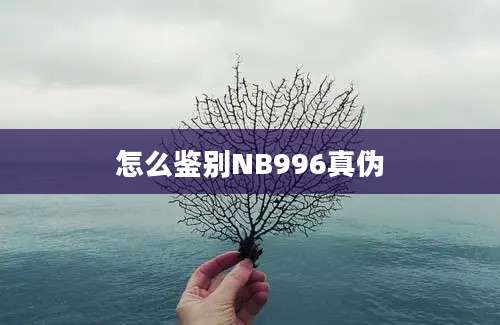 怎么鉴别NB996真伪