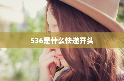 536是什么快递开头