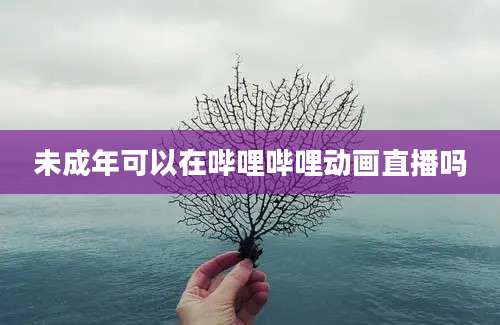 未成年可以在哔哩哔哩动画直播吗