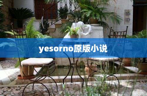 yesorno原版小说