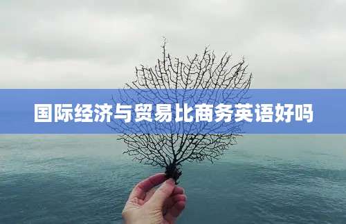 国际经济与贸易比商务英语好吗