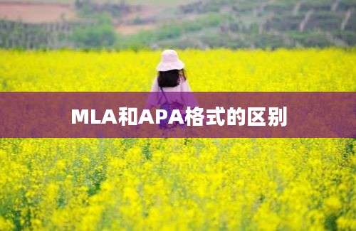 MLA和APA格式的区别