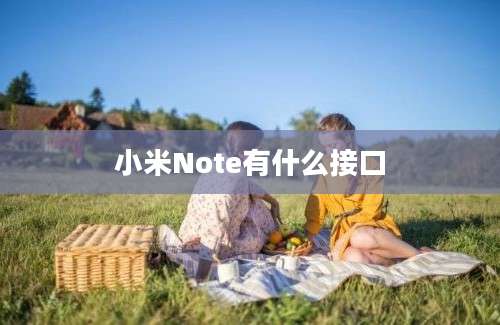 小米Note有什么接口