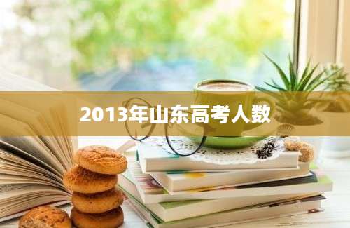 2013年山东高考人数