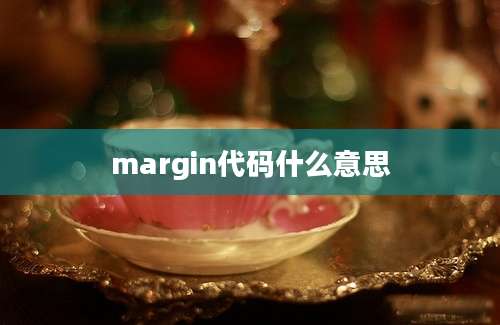 margin代码什么意思