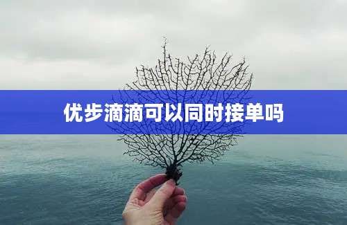 优步滴滴可以同时接单吗