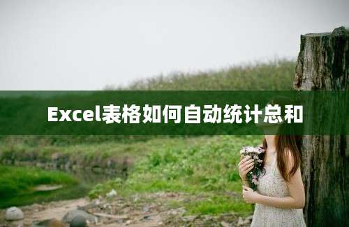 Excel表格如何自动统计总和