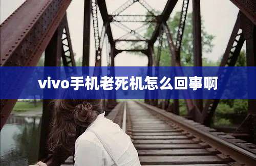 vivo手机老死机怎么回事啊