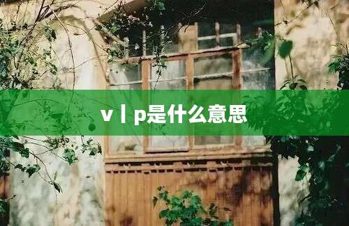 v丨p是什么意思