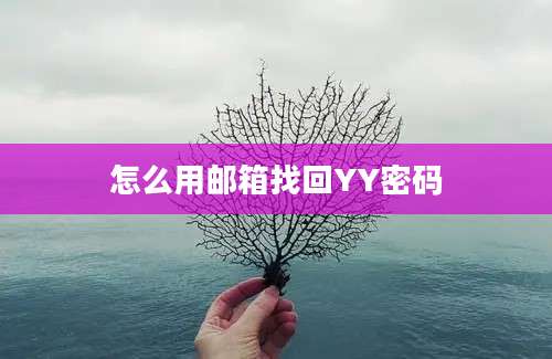 怎么用邮箱找回YY密码